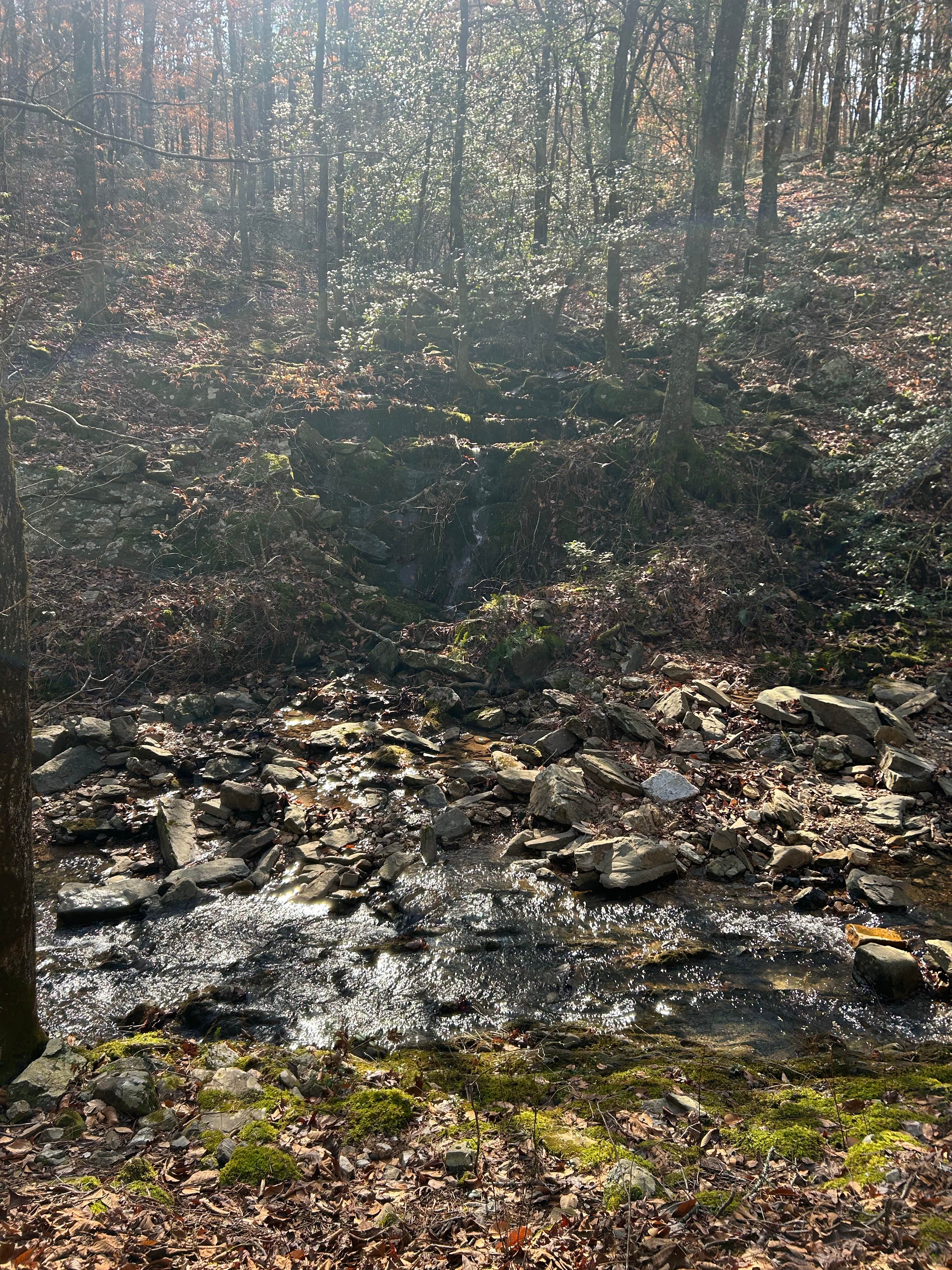 Camper-submitted photo at Viles Branch Creek Primitive Campsite on the Eagle Rock Loop near De Queen, AR