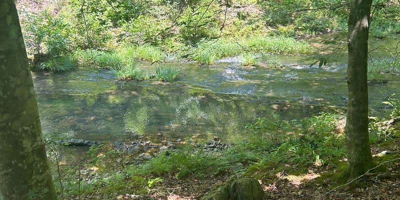Camper submitted image from Viles Branch Creek Primitive Campsite on the Eagle Rock Loop