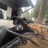 Review photo of Village Camp Truckee by Courtney P., June 19, 2026