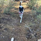 Review photo of Village Camp Truckee by Courtney P., June 19, 2026