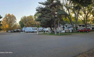 Marianne C.'s photo of rv camping at Village of Trees RV Resort near Almo, ID