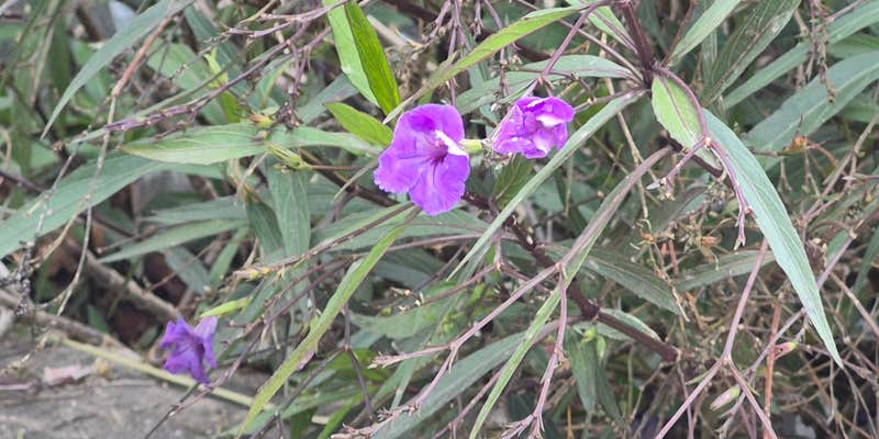 Camper submitted image from VIP Park