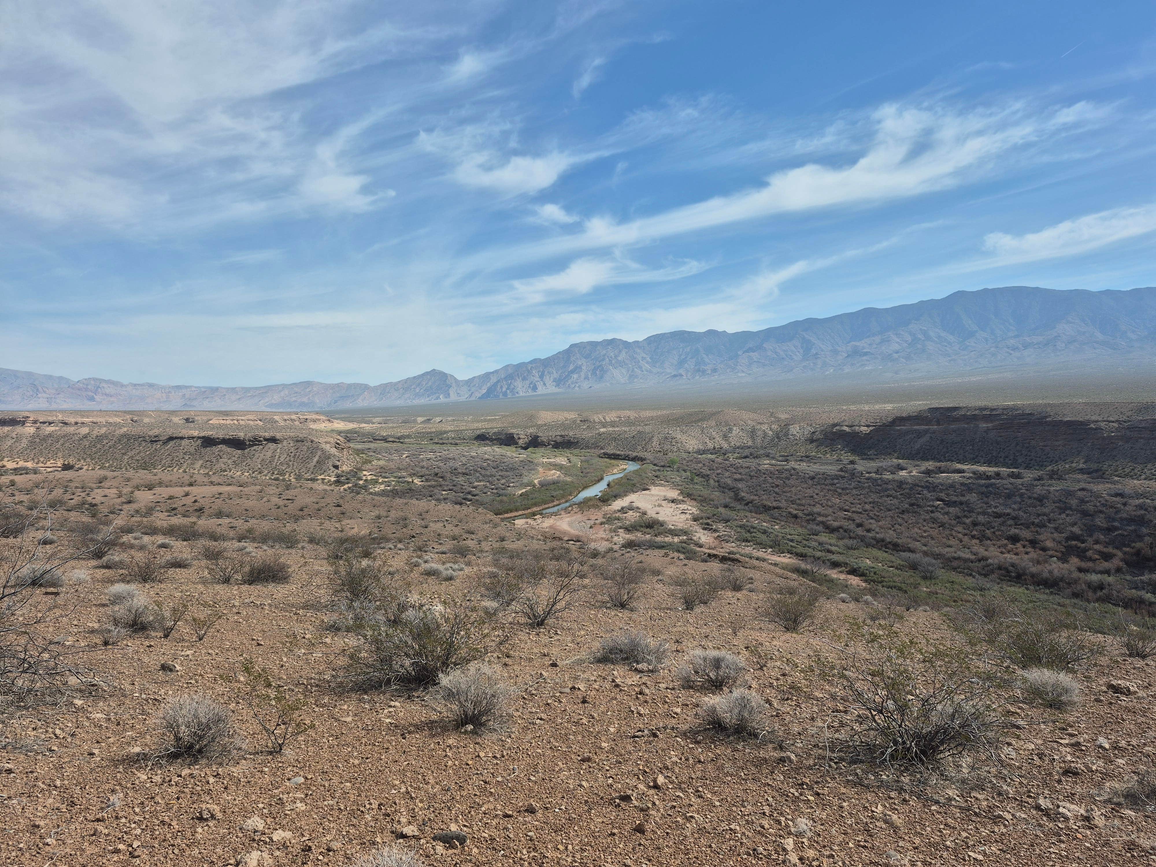 Camper-submitted photo at Virgin River Camp near Mesquite, NV