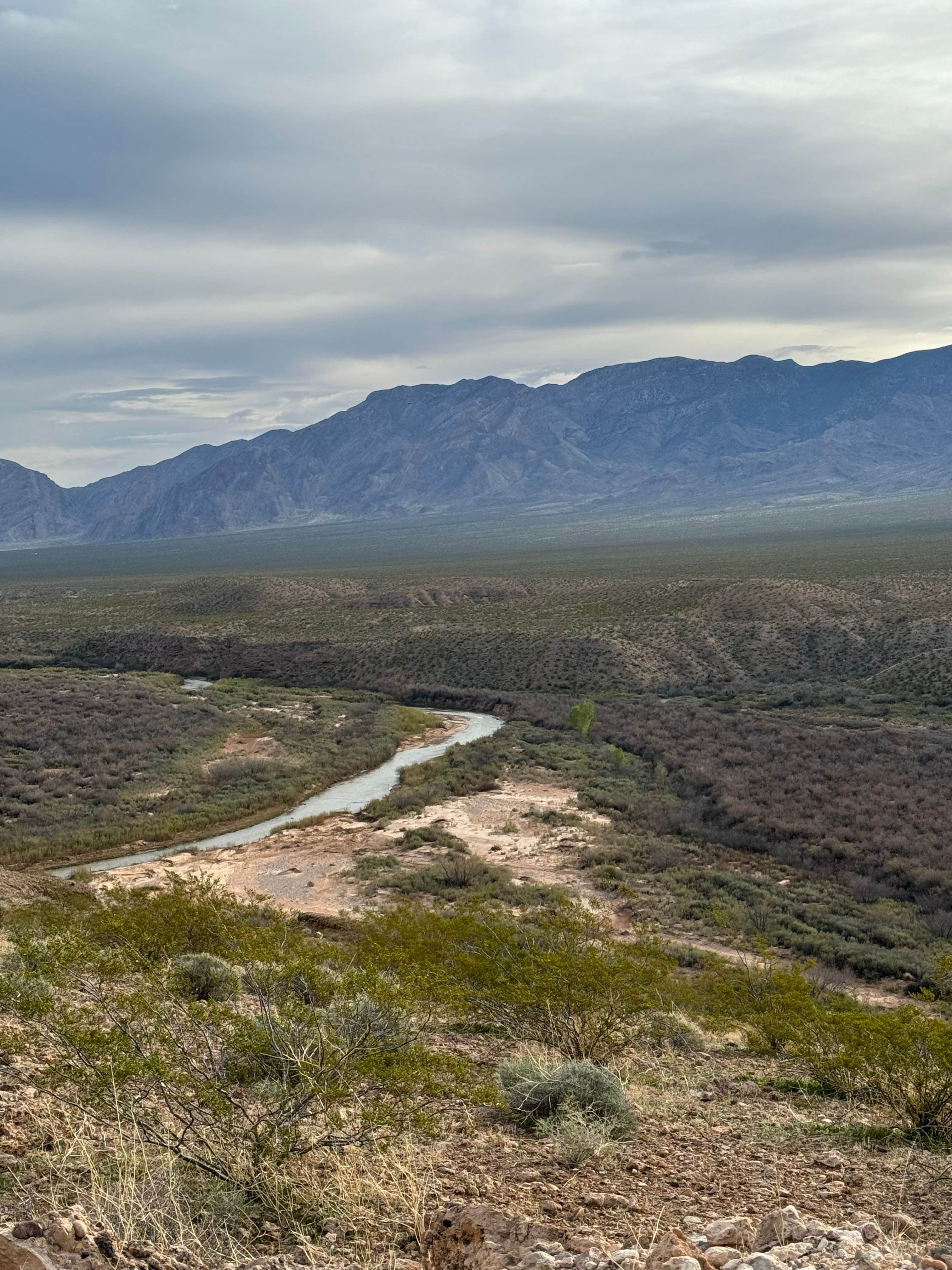 Camper-submitted photo at Virgin River Camp near Bunkerville, NV