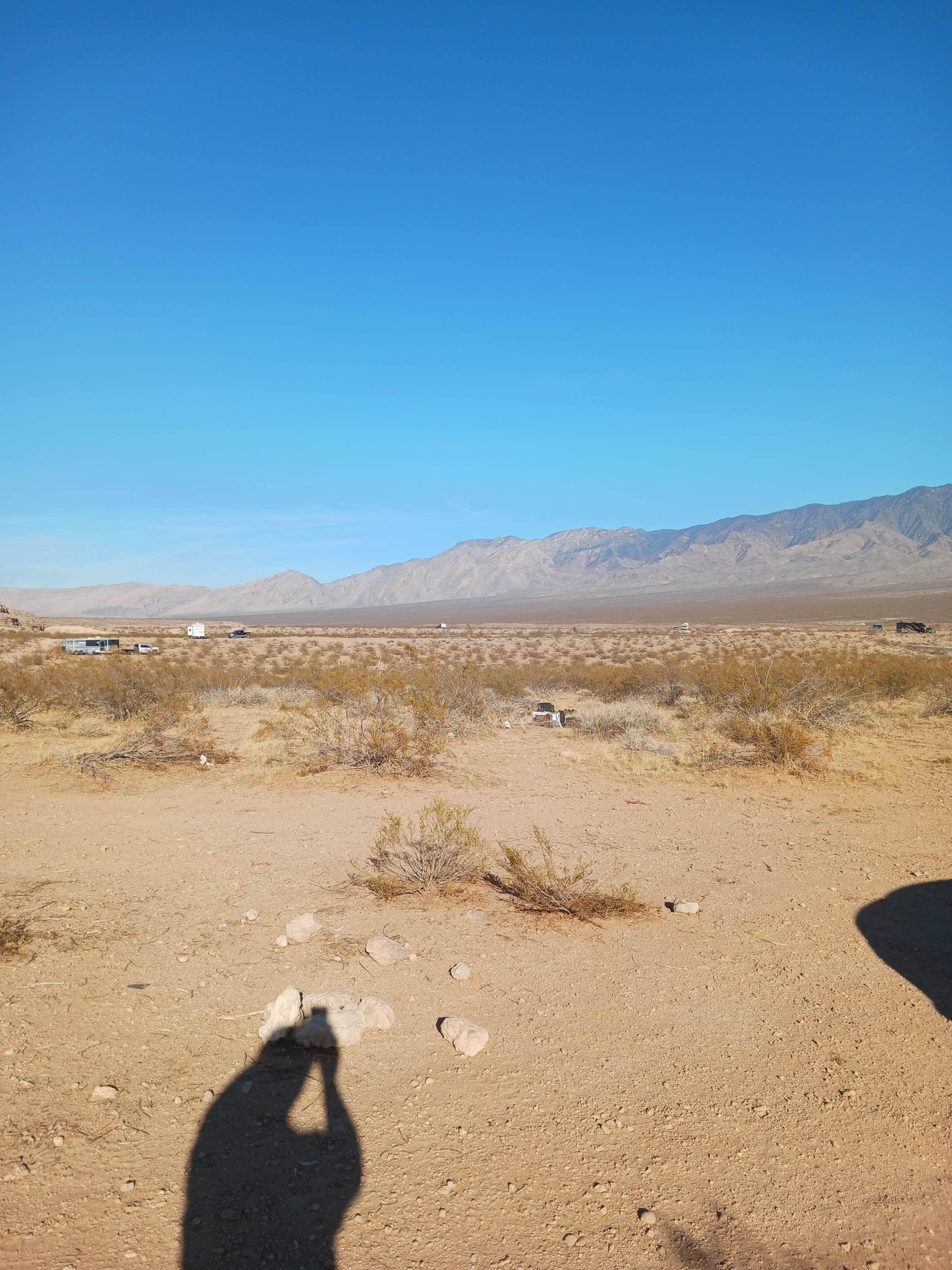 Camper-submitted photo at Virgin River North near Bunkerville, NV