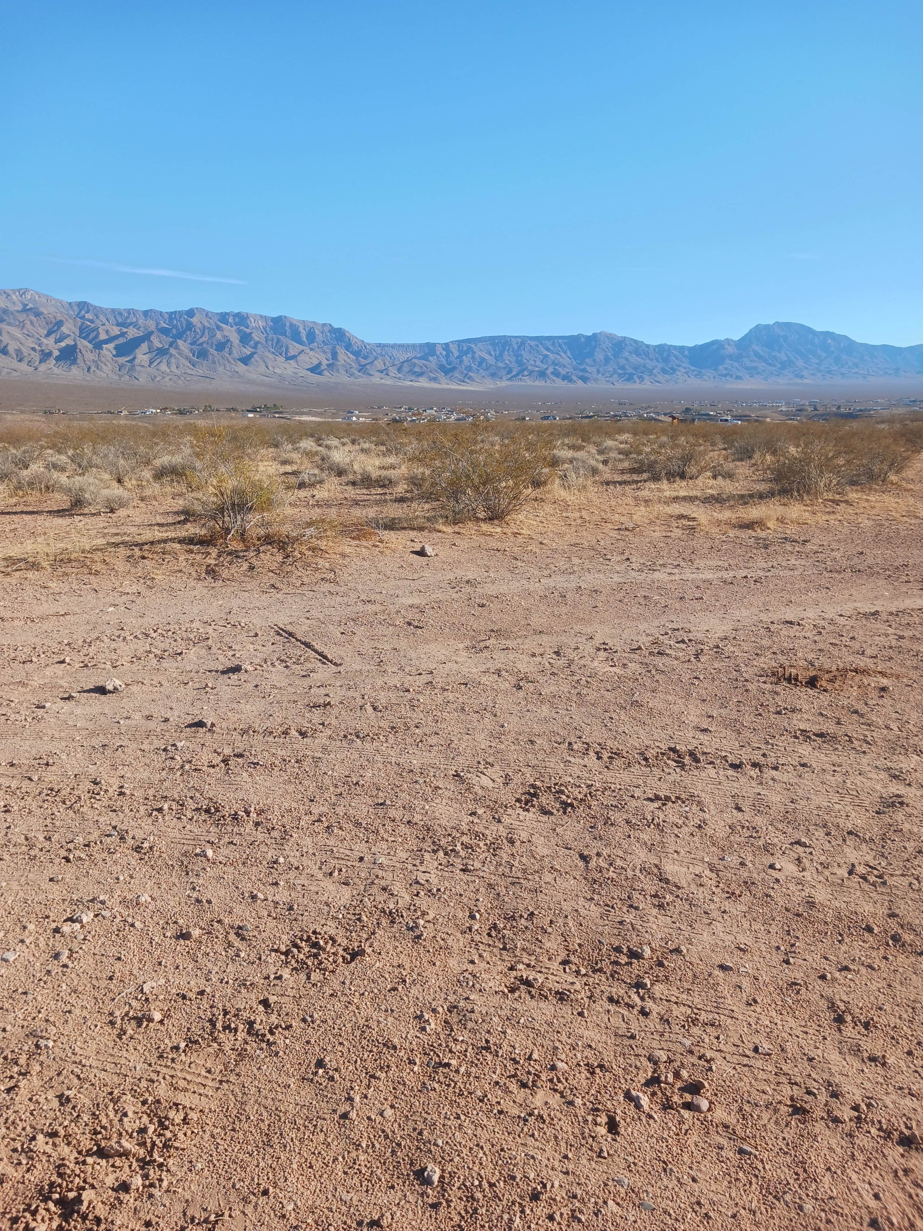 Camper-submitted photo at Virgin River North near Bunkerville, NV