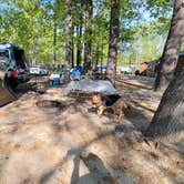 Review photo of Virginia Beach KOA by Dani , April 12, 2026
