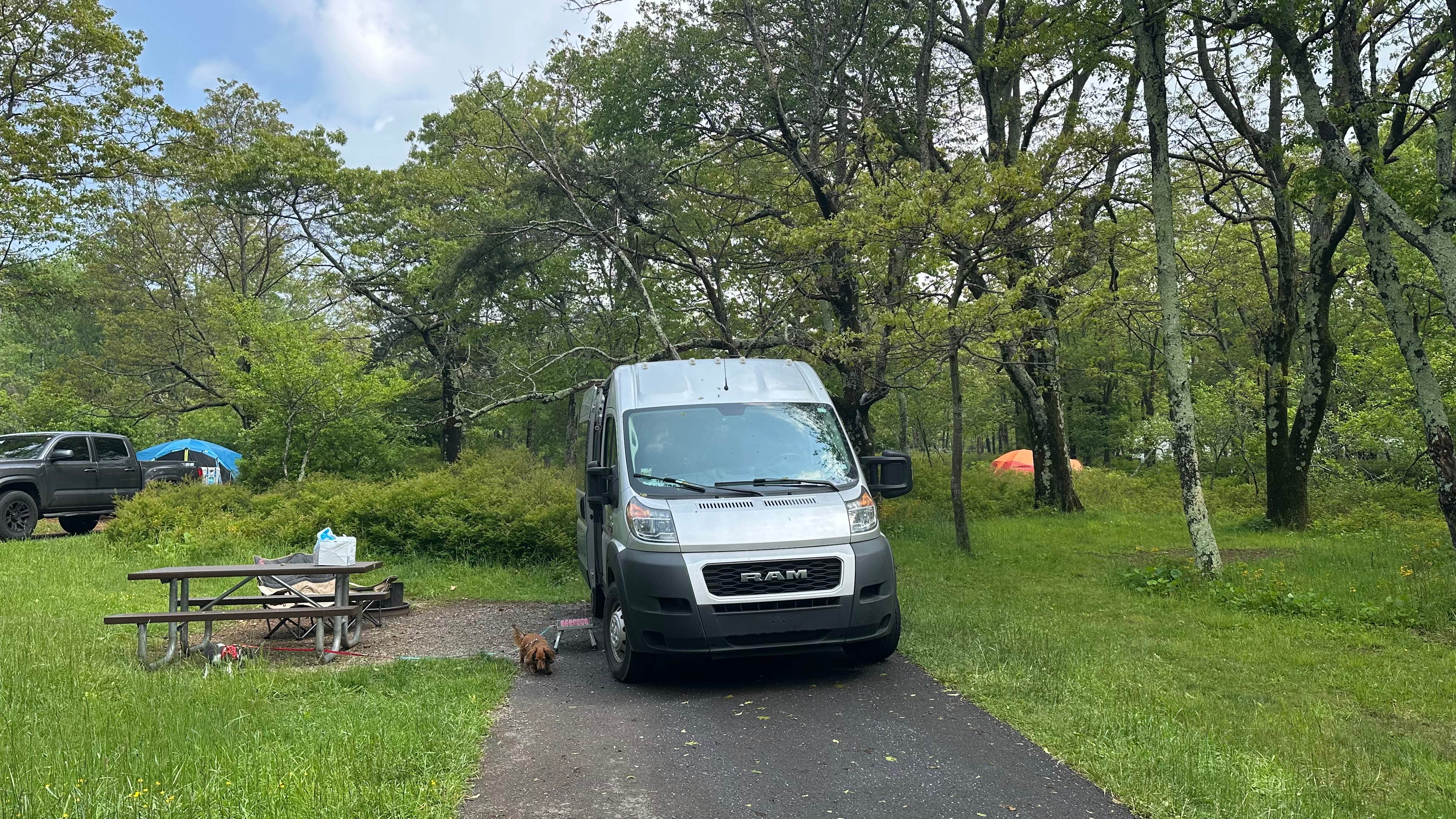 Cari E.'s photo of camping with pets at Big Meadows Campground — Shenandoah National Park near Sperryville, VA