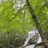 Review photo of Big Meadows Campground — Shenandoah National Park by Cari E., July 13, 2026
