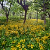 Review photo of Big Meadows Campground — Shenandoah National Park by Jessica M., May 27, 2026