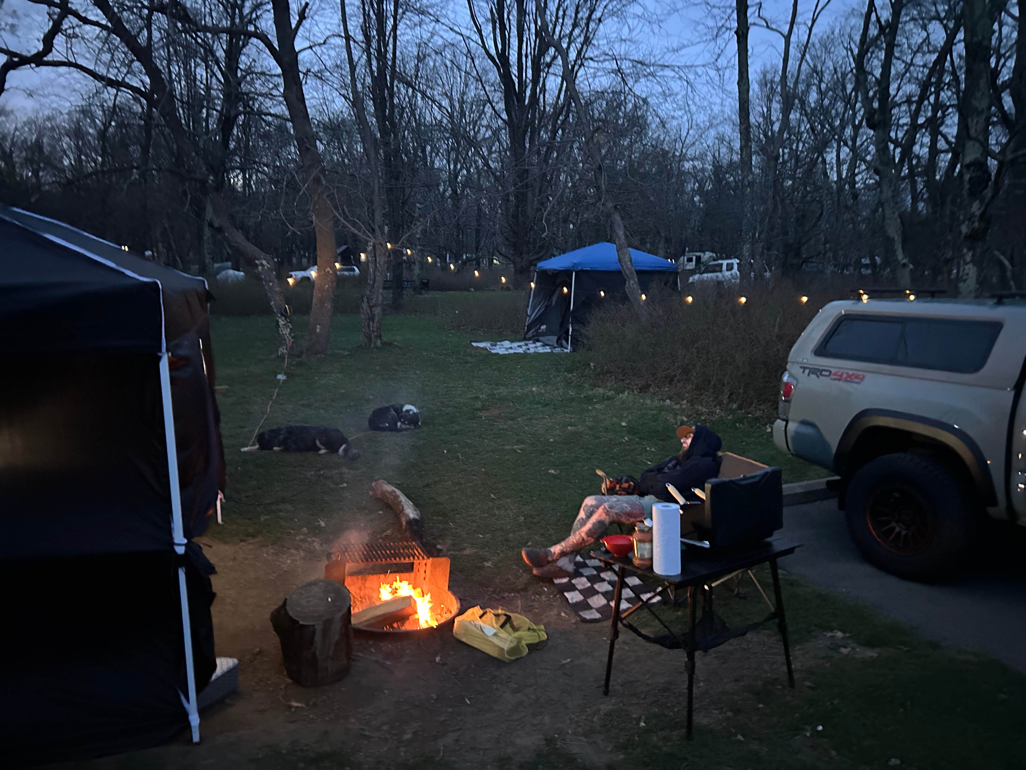 Taylor's photo of camping with pets at Big Meadows Campground — Shenandoah National Park near Luray, VA
