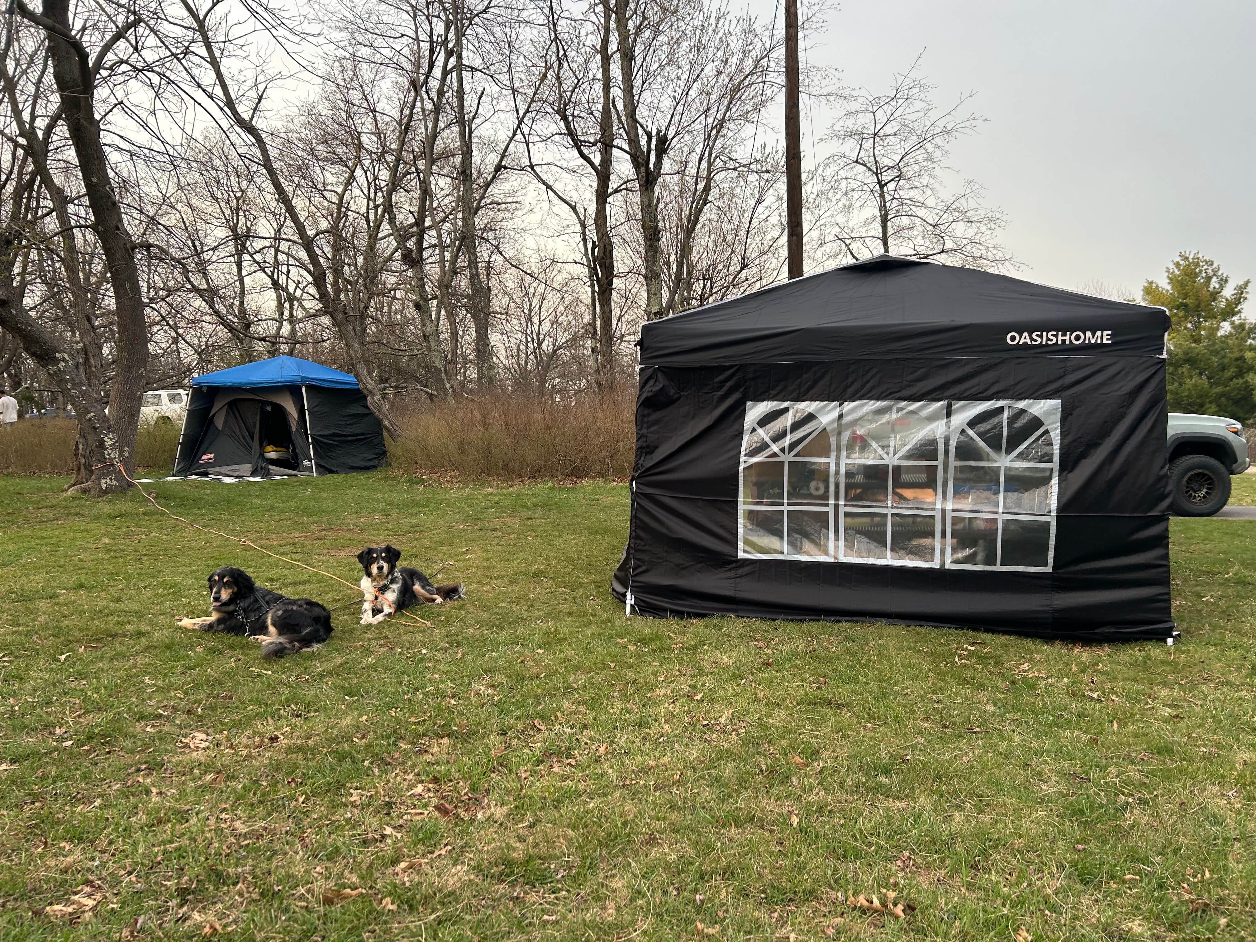 Taylor's photo of camping with pets at Big Meadows Campground — Shenandoah National Park near Luray, VA