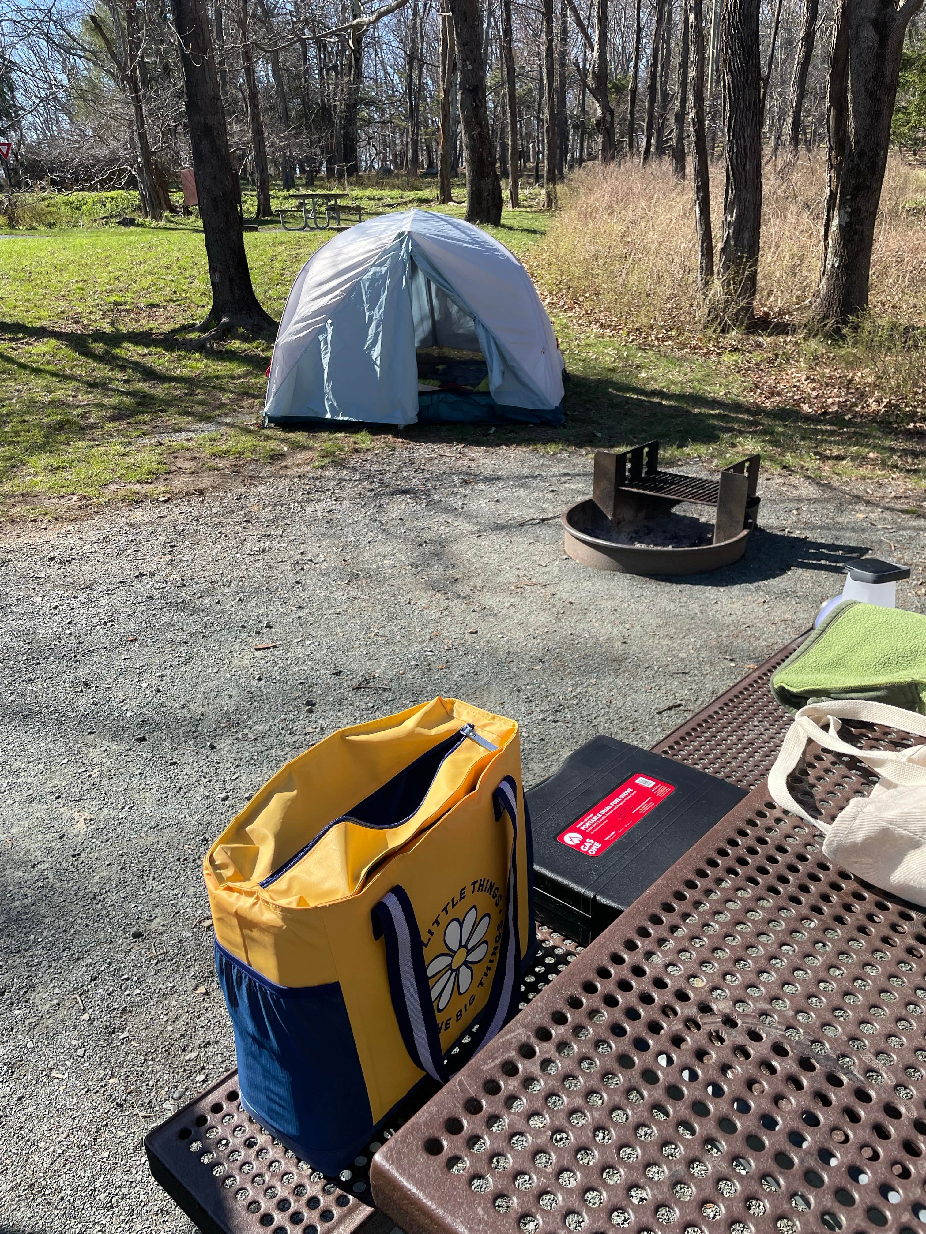 Carol B.'s photo at Big Meadows Campground — Shenandoah National Park near Stanley, VA