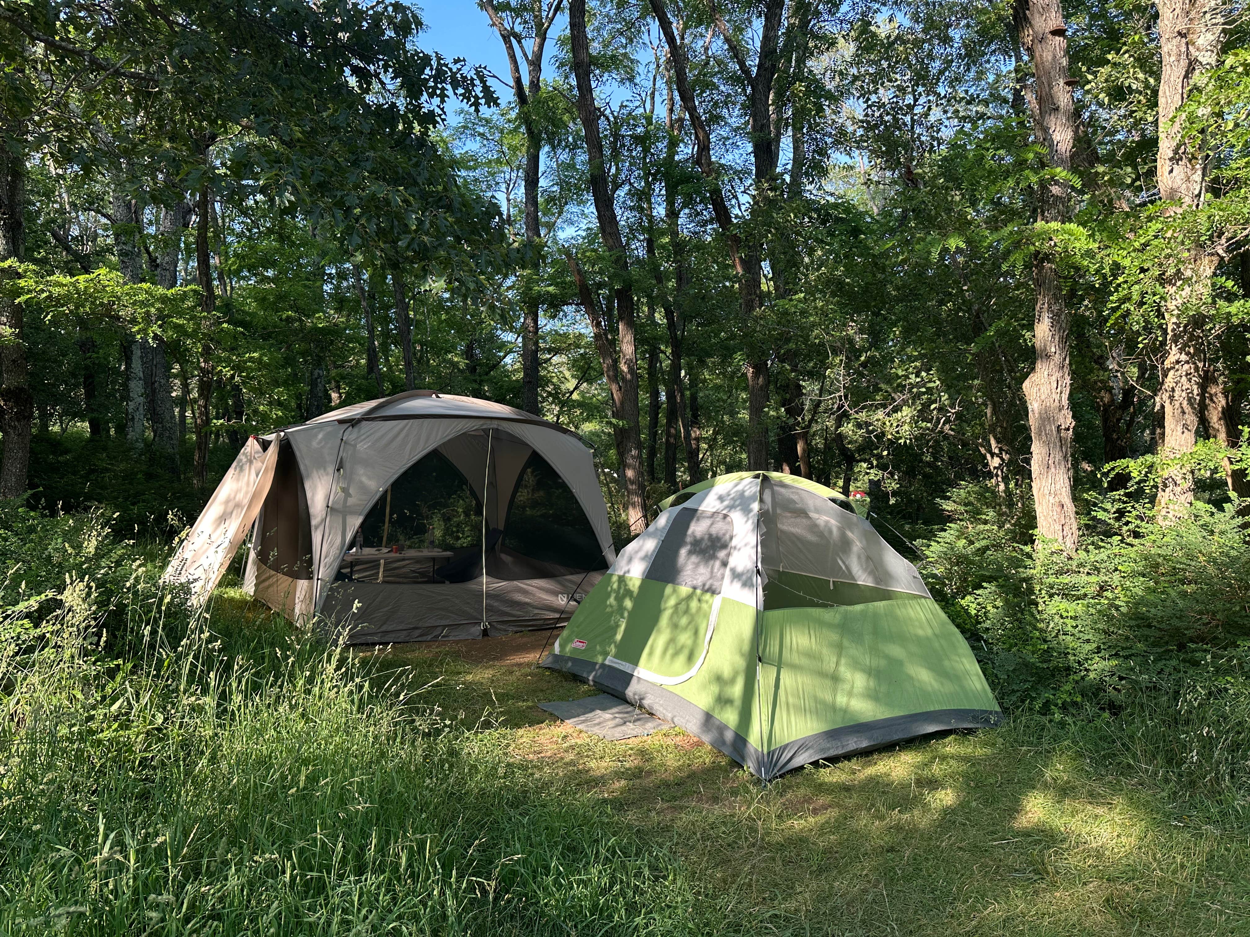 Veronica S.'s photo at Big Meadows Campground — Shenandoah National Park near Culpeper, VA