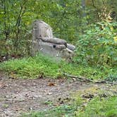 Review photo of Braley Pond Dispersed Camping & Day Use Area by Tyler M., December 18, 2025