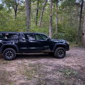 Review photo of Braley Pond Dispersed Camping & Day Use Area by Tyler M., December 18, 2025