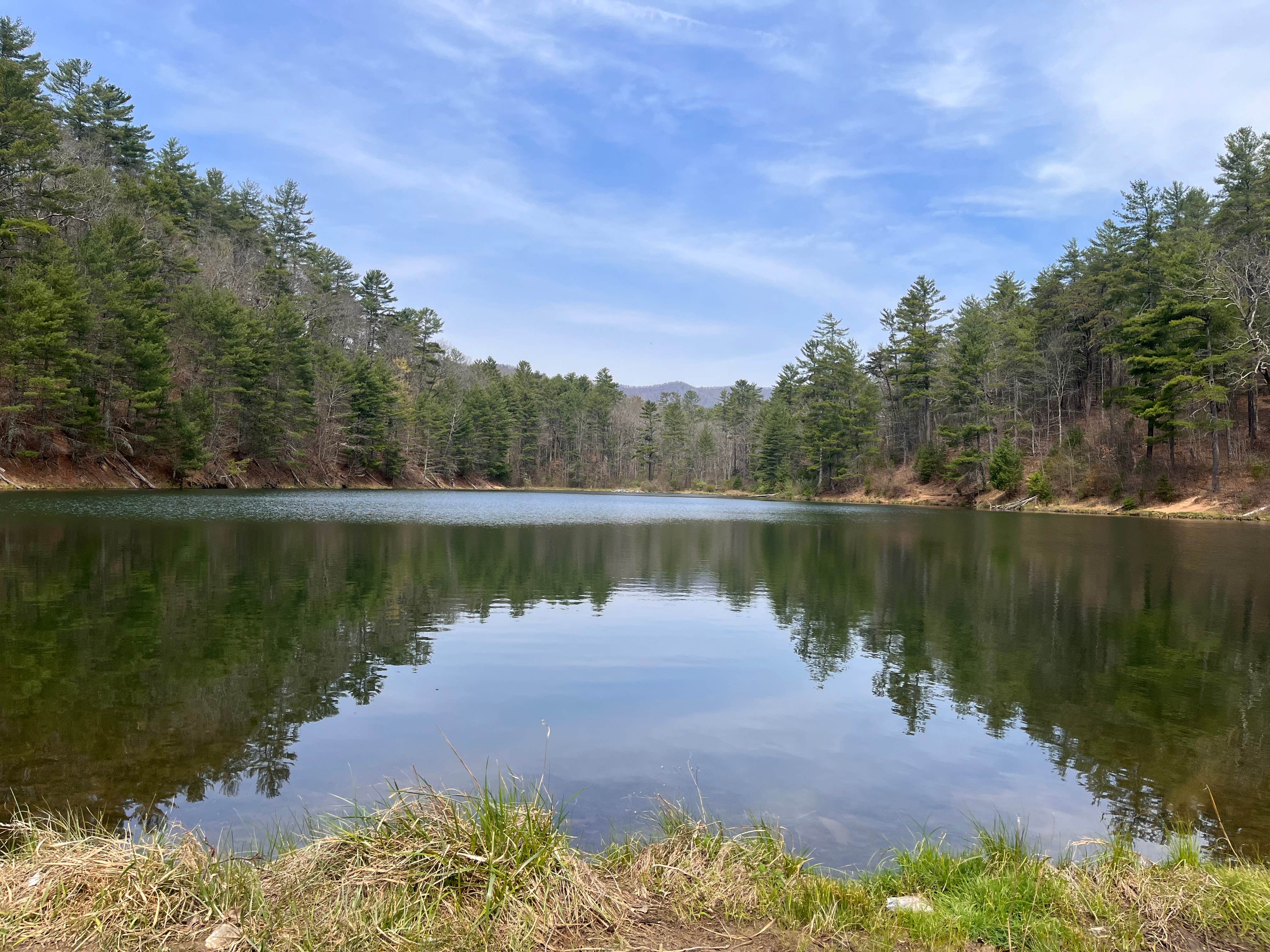 Camper-submitted photo at Braley Pond Dispersed Camping & Day Use Area near Dayton, VA