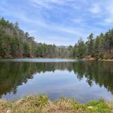 Review photo of Braley Pond Dispersed Camping & Day Use Area by Sarah and James H., April 20, 2025