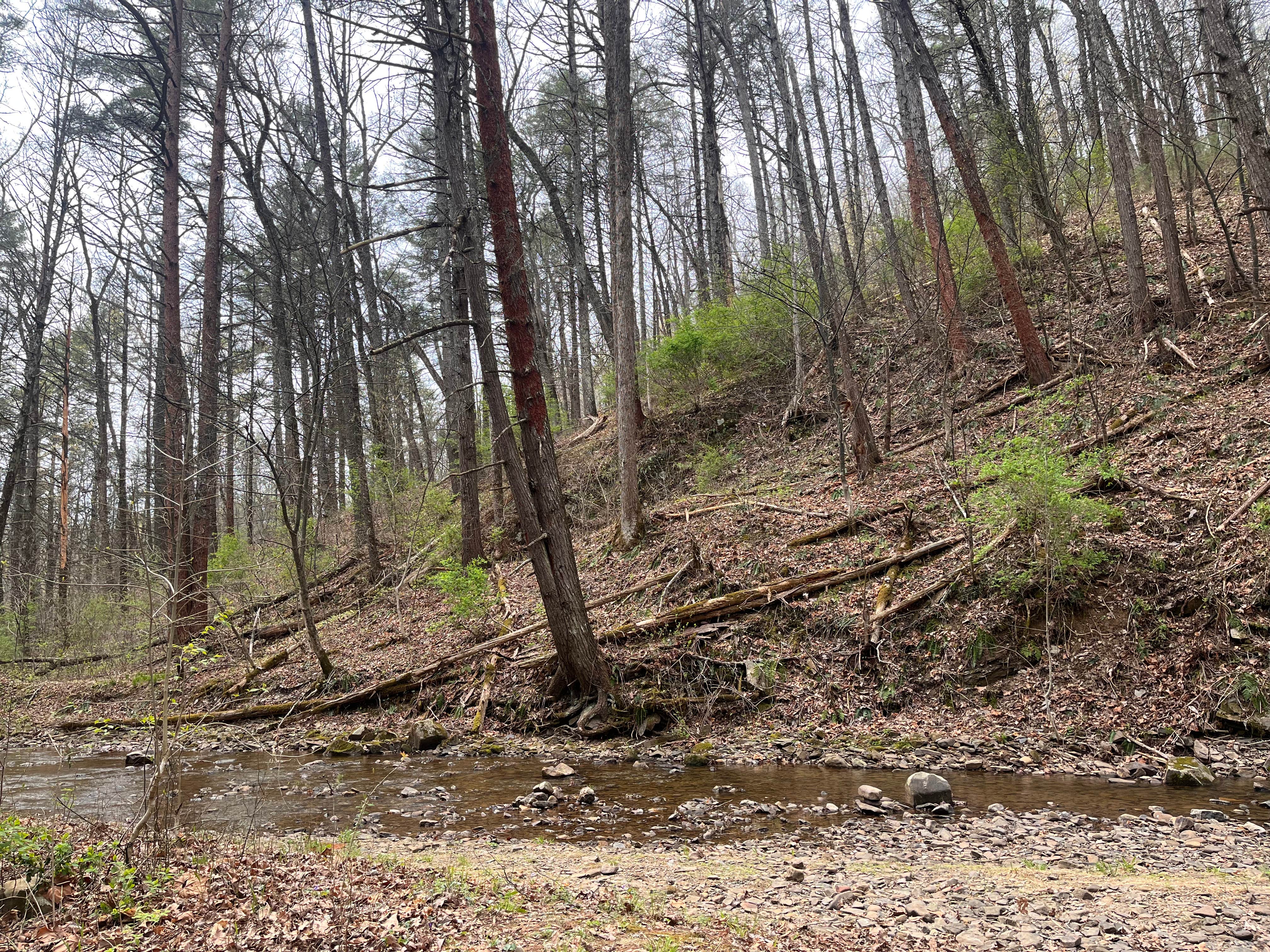 Camper submitted image from Braley Pond Dispersed Camping & Day Use Area - 2