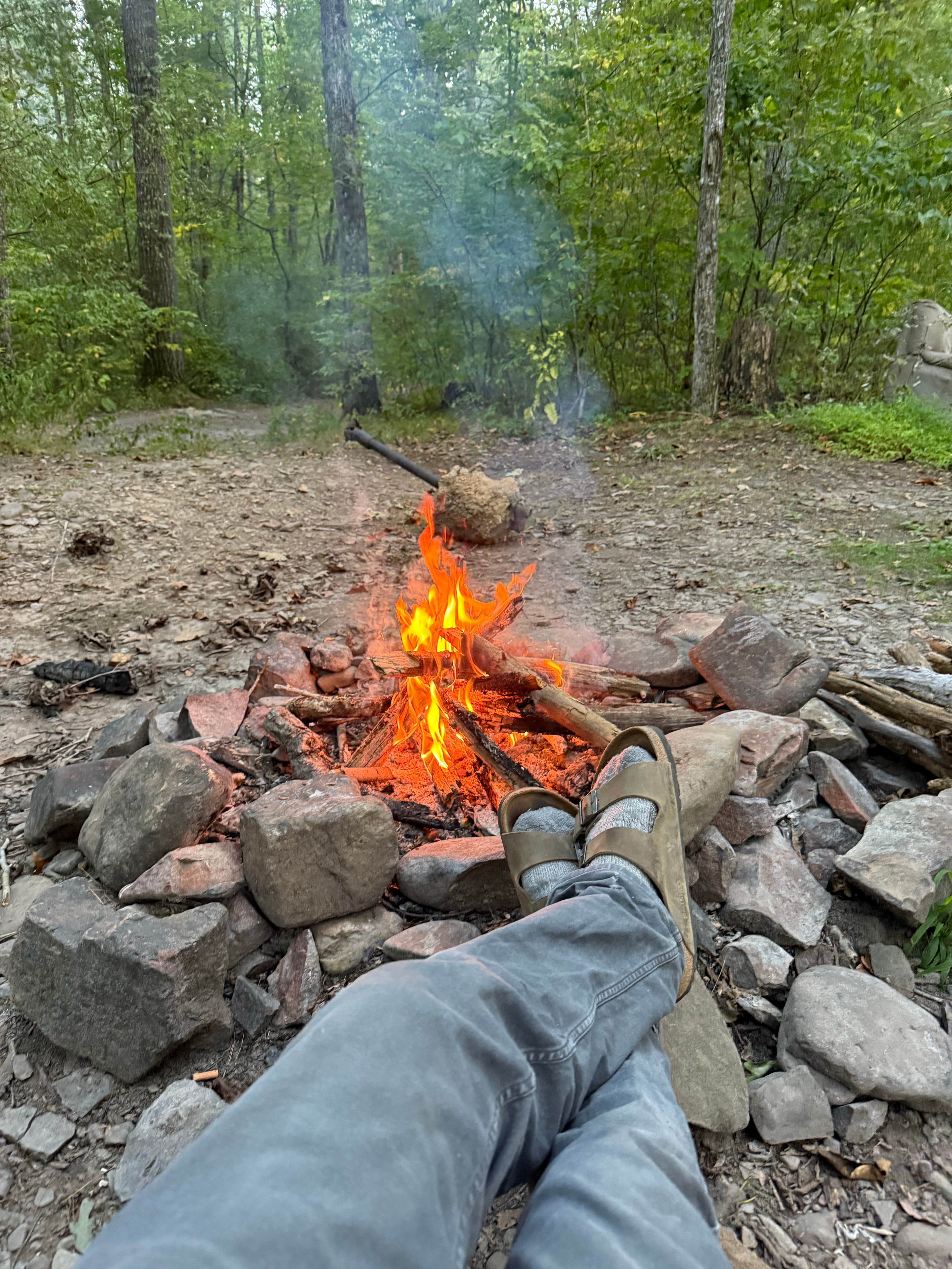 Camping near Flagpole Knob: Braley Pond Dispersed Camping & Day Use Area, West Augusta, Virginia