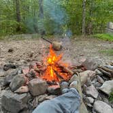 Review photo of Braley Pond Dispersed Camping & Day Use Area by Tyler M., December 18, 2025