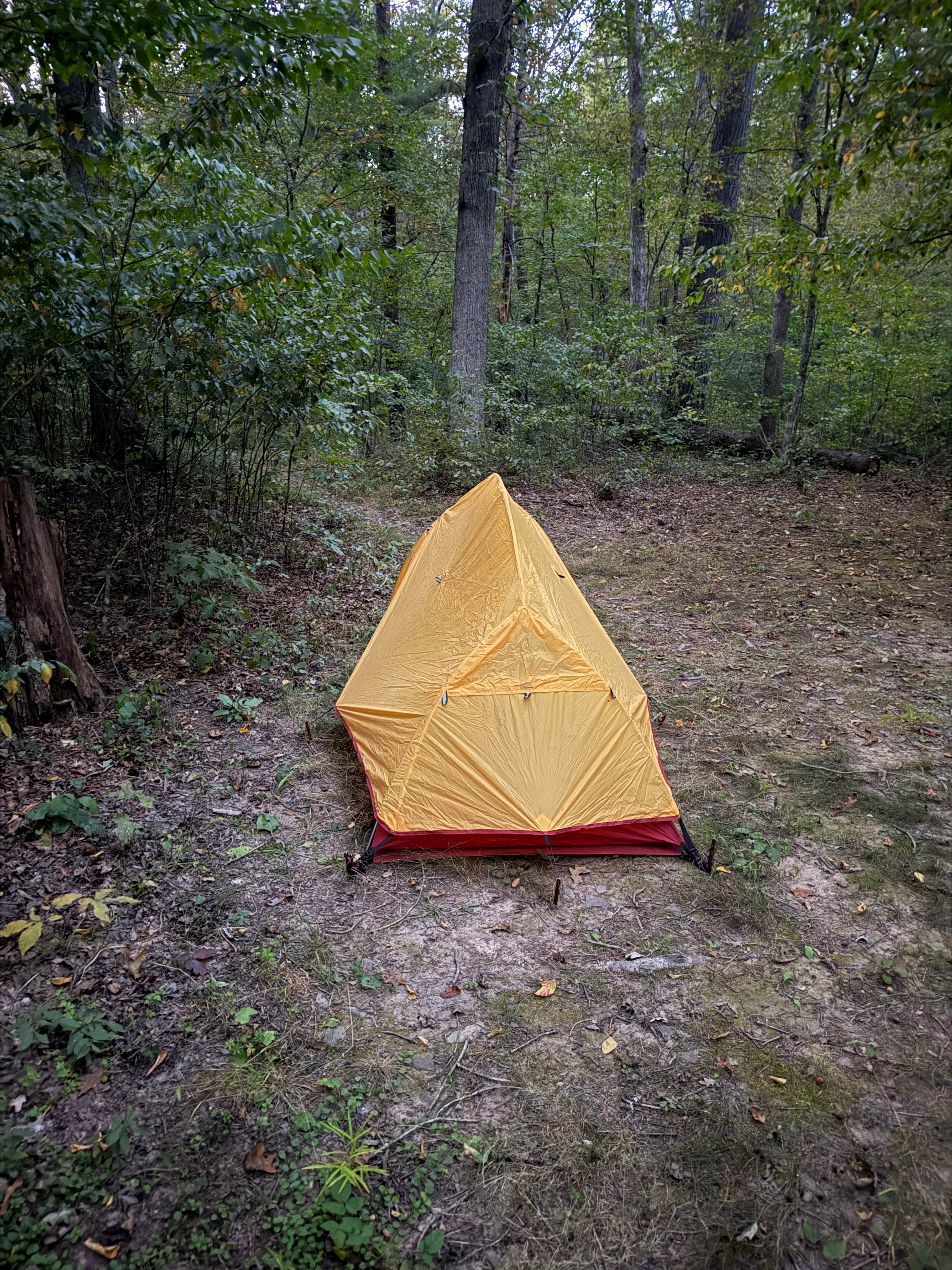 Tyler M.'s photo of a dispersed camping area at Braley Pond Dispersed Camping & Day Use Area near Elkton, VA