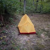 Review photo of Braley Pond Dispersed Camping & Day Use Area by Tyler M., December 18, 2025