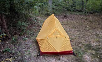 Tyler M.'s photo of a dispersed camping area at Braley Pond Dispersed Camping & Day Use Area near Elkton, VA