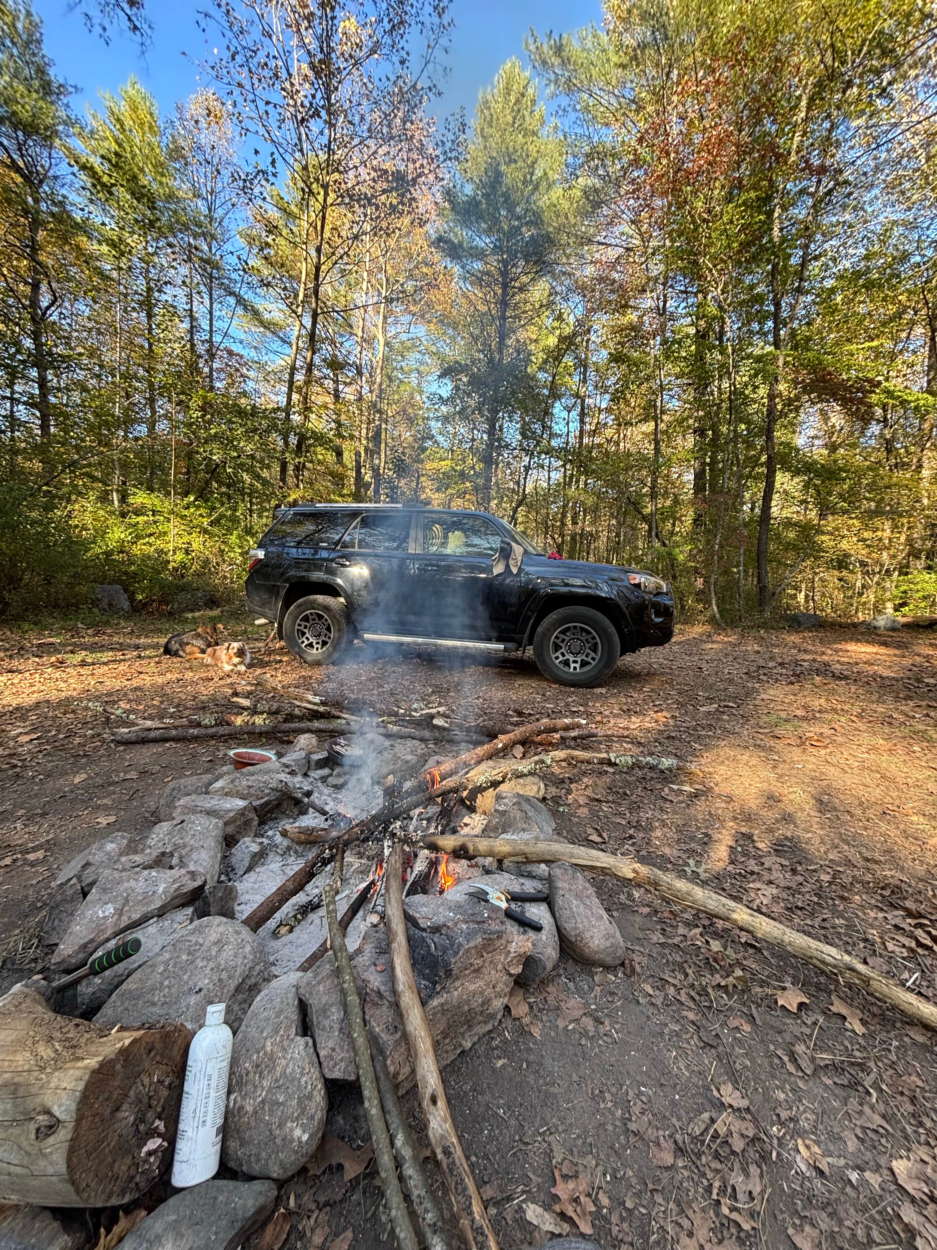 Camper-submitted photo at Oronoco Campground near Steeles Tavern, VA