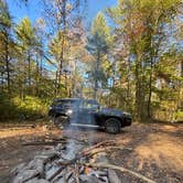 Review photo of Oronoco Campground by Nancy P., October 26, 2024