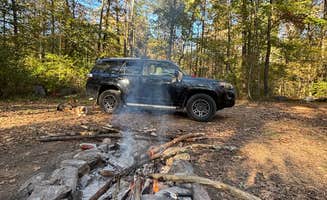Nancy P.'s photo of camping with pets at Oronoco Campground near Big Island, VA