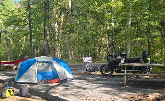 Matt M.'s photo at Camp Roosevelt near Mount Jackson, VA