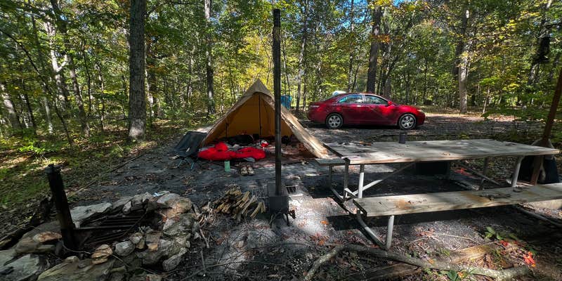 Camper submitted image from Camp Roosevelt