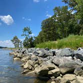 Review photo of Chickahominy Riverfront Park by Cindy P., February 17, 2024