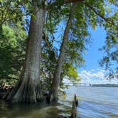 Review photo of Chickahominy Riverfront Park by Cindy P., February 17, 2024