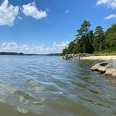 Review photo of Chickahominy Riverfront Park by Cindy P., February 17, 2024