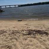 Review photo of Chickahominy Riverfront Park by Megan L., June 17, 2026