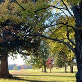 Review photo of Chippokes State Park Campground by Janet R., June 20, 2024