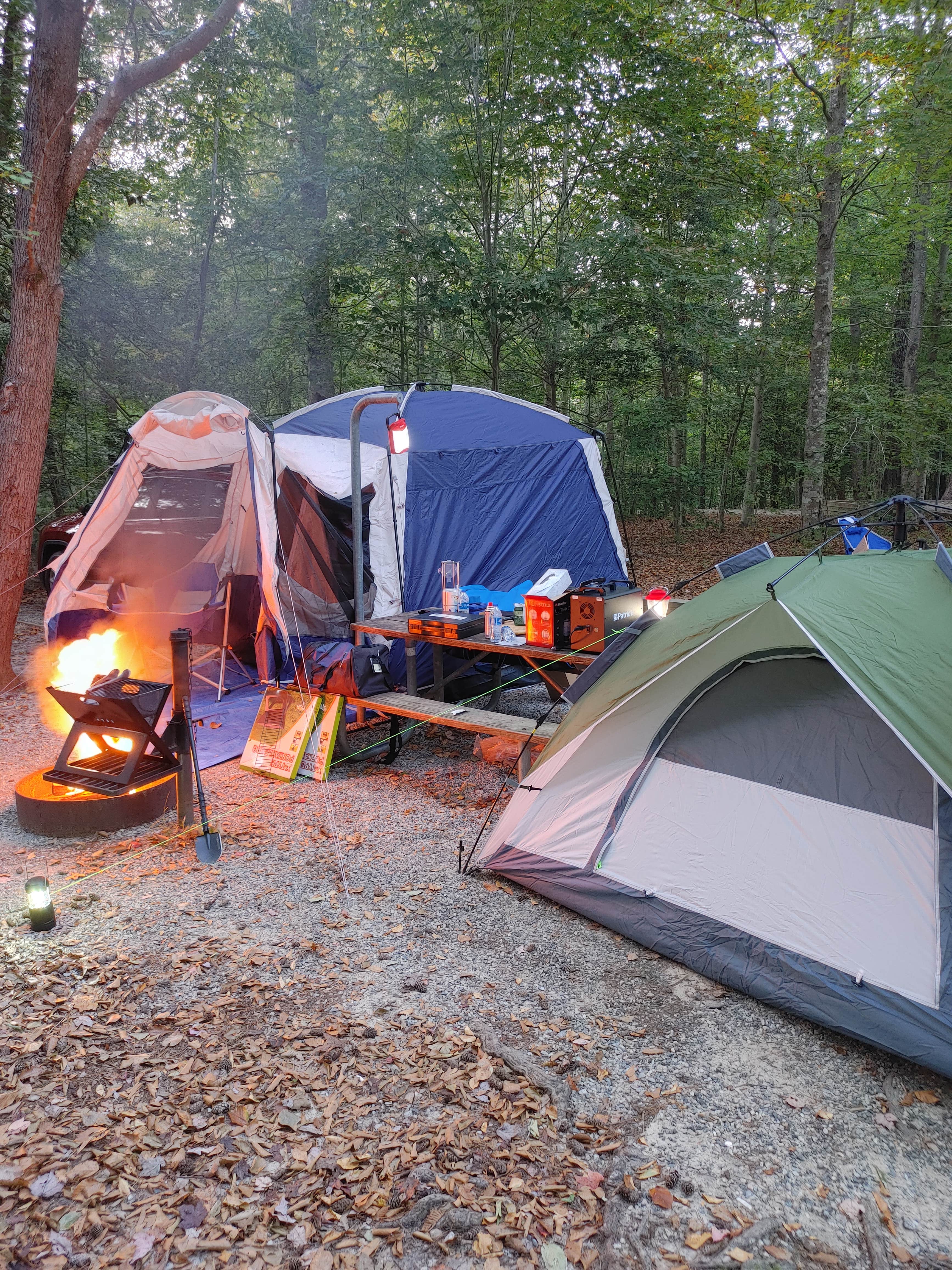 Diane R.'s photo at Chippokes State Park Campground near Carrollton, VA