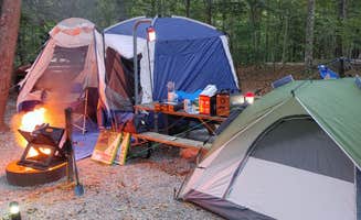 Diane R.'s photo at Chippokes State Park Campground near Carrollton, VA