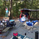 Review photo of Chippokes State Park Campground by Diane R., October 15, 2023