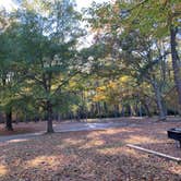 Review photo of Chippokes State Park Campground by Janet R., June 20, 2024