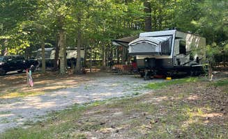 Johnathan M.'s photo at Chippokes State Park Campground near Lightfoot, VA