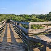 Review photo of First Landing State Park Campground by Christine , August 10, 2024