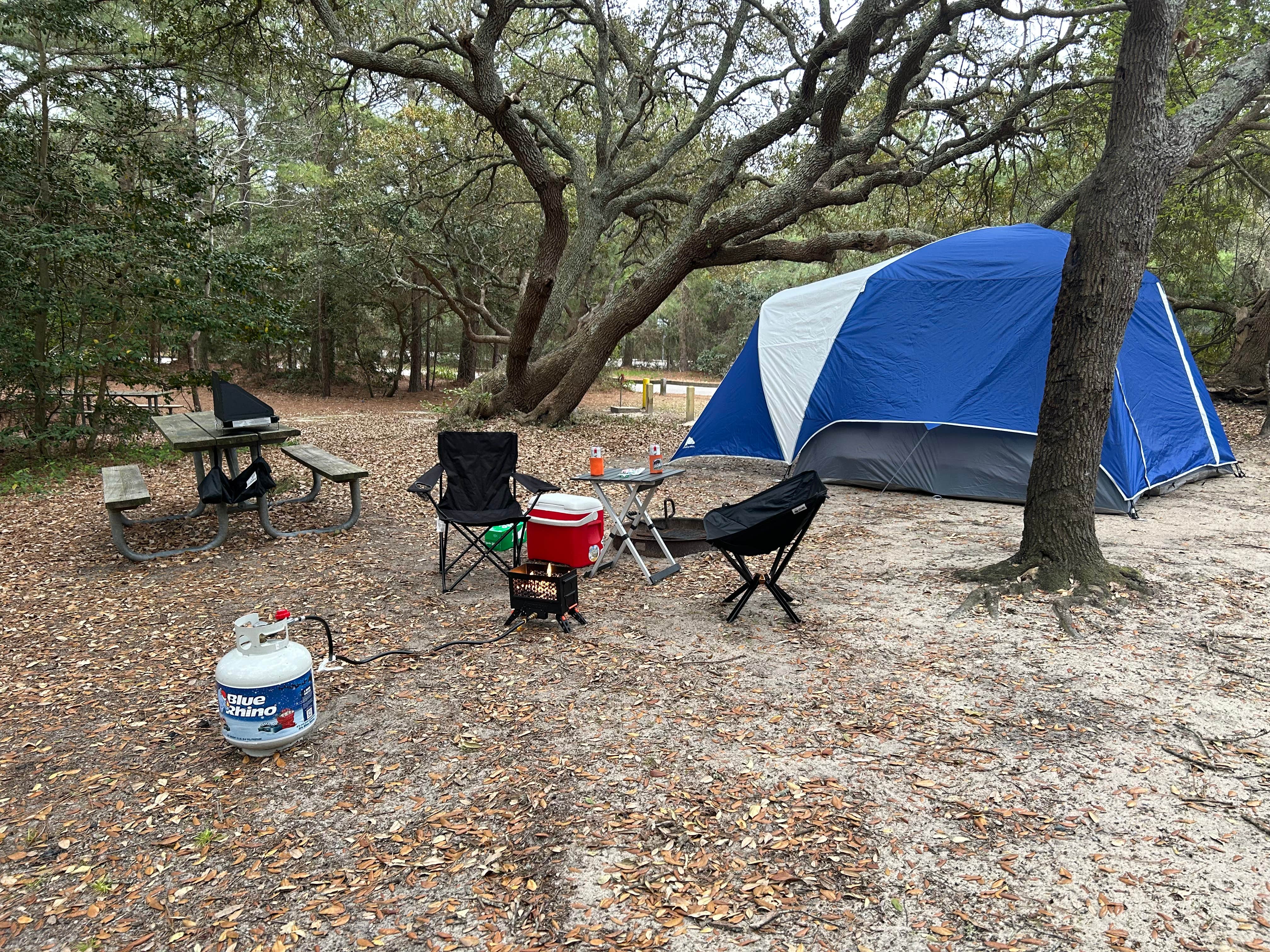 Joseph H.'s photo at First Landing State Park Campground near Virginia Beach, VA