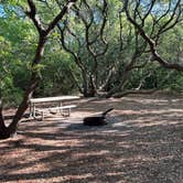 Review photo of First Landing State Park Campground by Sarah G., April 29, 2026