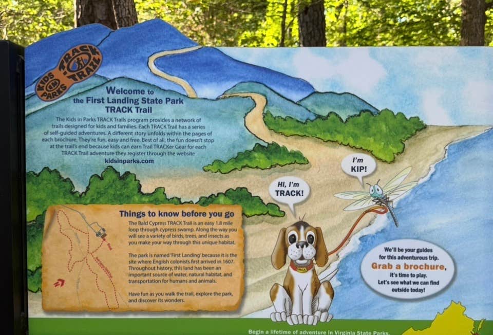 Janet R.'s photo of camping with pets at First Landing State Park Campground near Corolla, NC