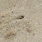 Review photo of First Landing State Park Campground by Bryan S., June 22, 2026