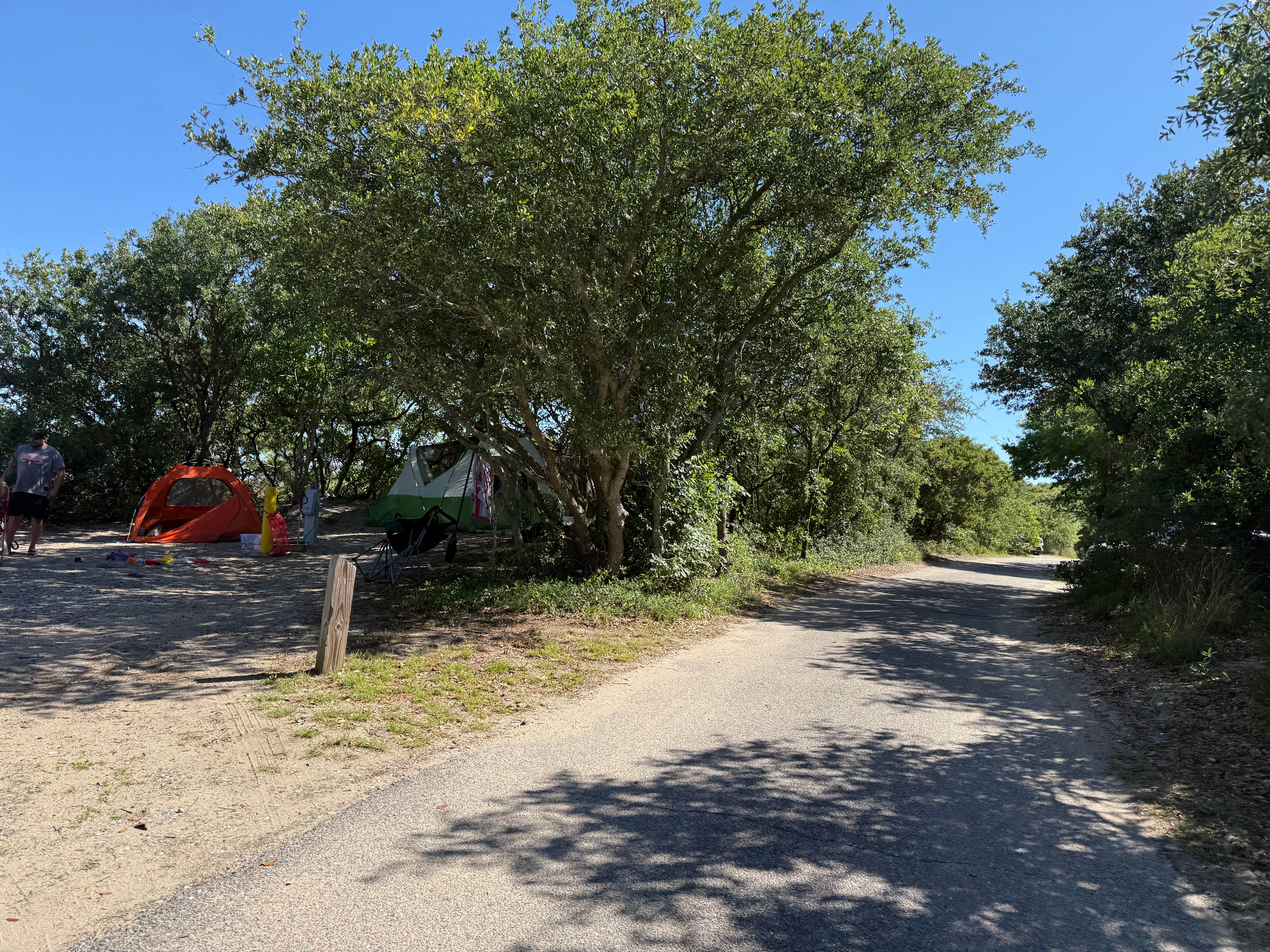Janet R.'s photo at First Landing State Park Campground near Hampton, VA