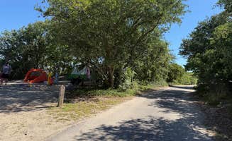 Janet R.'s photo at First Landing State Park Campground near Hampton, VA